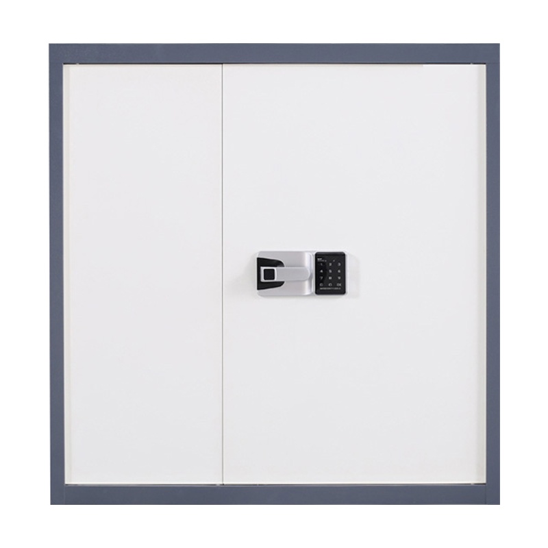 三圣 办公家具保密柜密码柜保险柜档案文件柜储物柜国保锁单节灰白套色保密柜带抽