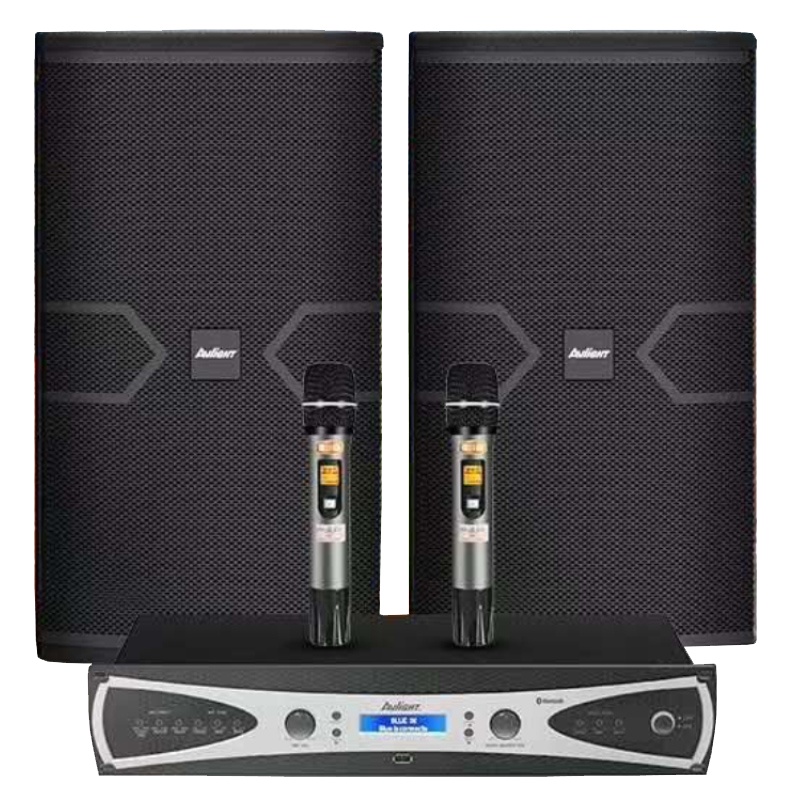 爱浪(AvliGHT)MK820-12套装家庭影院专业会议音响演出KTV音箱无线话筒+智能语音点歌