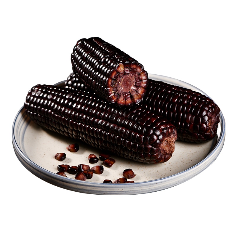 闲居人 黑糯玉米10支装约2kg 礼盒装 东北非转基因玉米 真空包装 新鲜蔬菜 烧烤食材