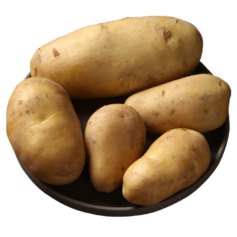 [西沛生鲜]云南黄皮黄心土豆 软糯洋芋 中果 9斤 单果60-100g 新鲜马铃薯 当季蔬菜 西沛
