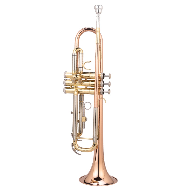 梵巢FLOFAIR 中音小号 黄铜管体 磷铜吹管 中音 初学 入 乐队 小号乐器 FTR-601