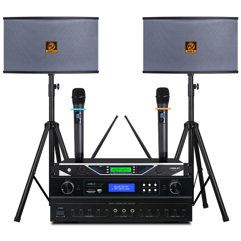 狮乐(SHILE)K555C/BX119家庭ktv音响套装会议室功放话筒音箱组合客厅卡拉OK家庭影院