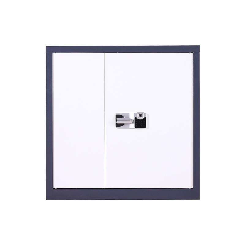 振奥 钢制电子保密柜密码档案柜资料办公柜保密文件铁皮柜 单节蓝白套色国保指纹密码锁内二抽