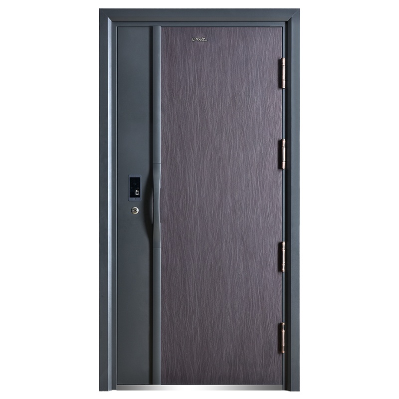 鼎盛 甲级防火门 防盗门进户门安全门入户门