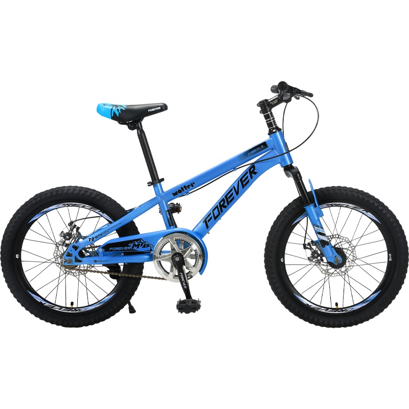 永久牌儿童山地自行车男女小学生青少年单车双碟刹20寸DDZ