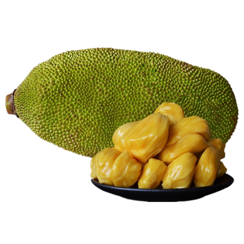海南菠萝蜜三亚果园直采黄肉整个20-23斤精选果包甜包熟坏包赔