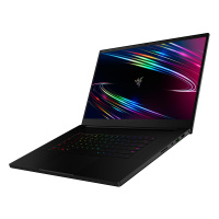 雷蛇(Razer)灵刃17.3英寸2020新款专业版高端商务电竞轻薄游戏本笔记本电脑（i7-10875H 16G 512GB RTX2080Super 300Hz 100%色域）