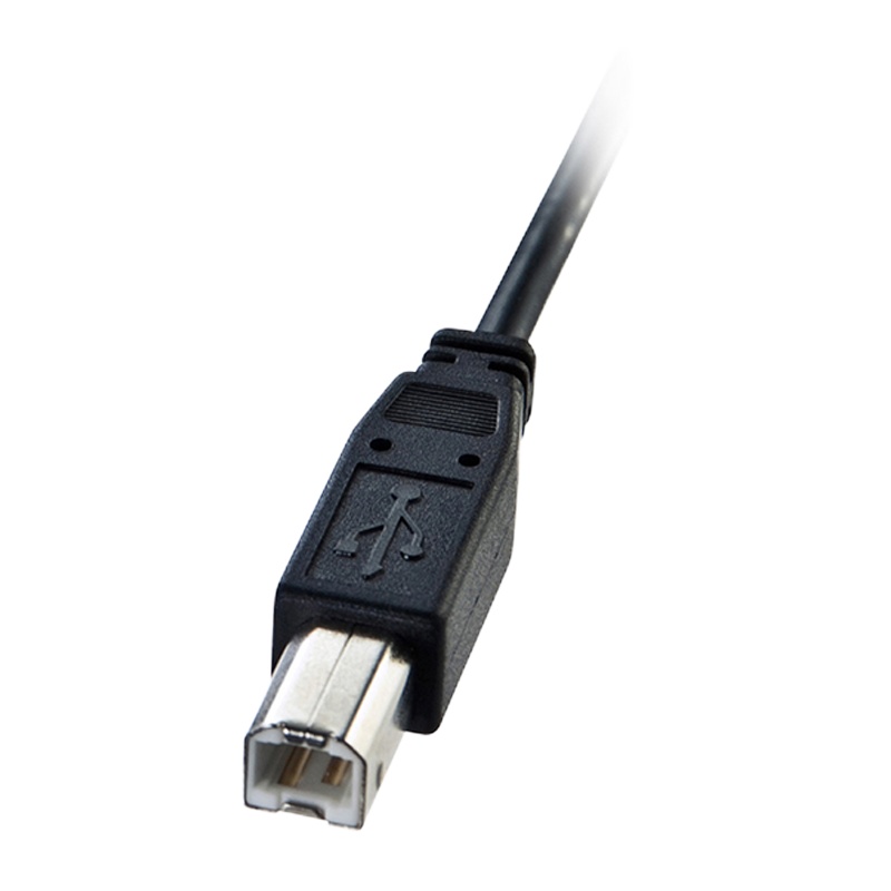 山业(SANWA) KU-R2 双面USB连接线延长线 2m(计价单位:根) 黑色