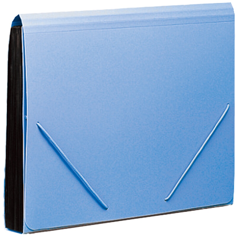 齐心(Comix) F4302 易分类松紧带式风琴包 A4 13袋(蓝色)单个装宁选