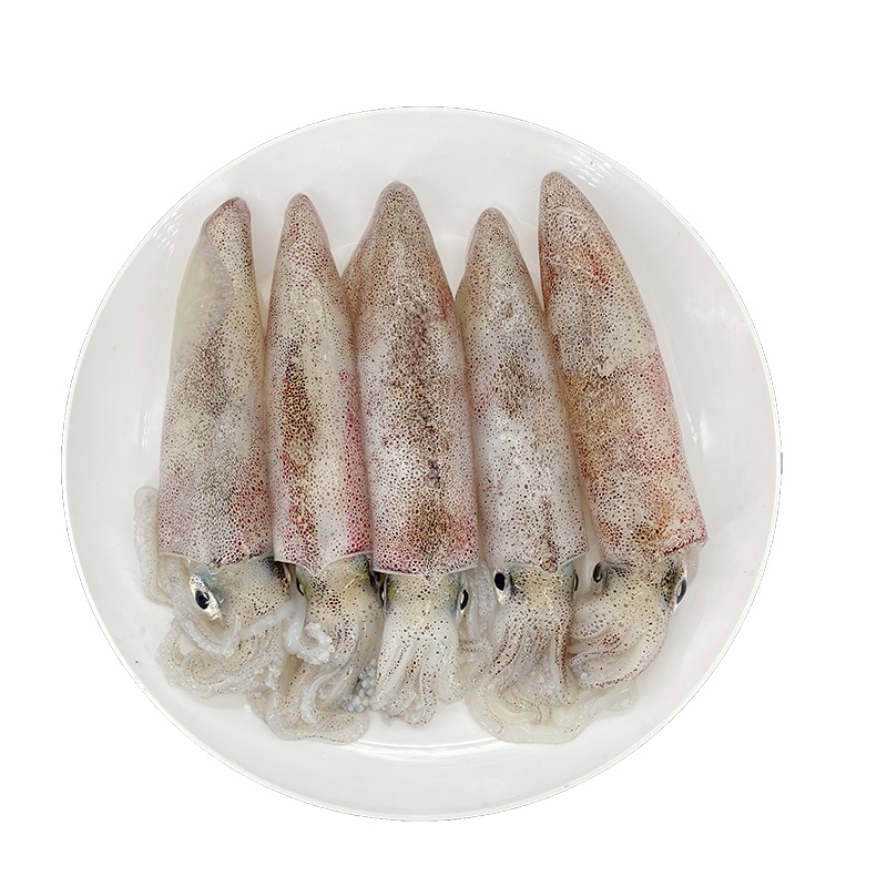 桂之海北部湾野生鱿鱼原条活冻400g*3袋[7-10条/包]