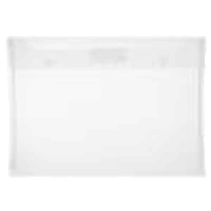 齐心 C339 双按扣文件袋 A4 透明 (单位:个)