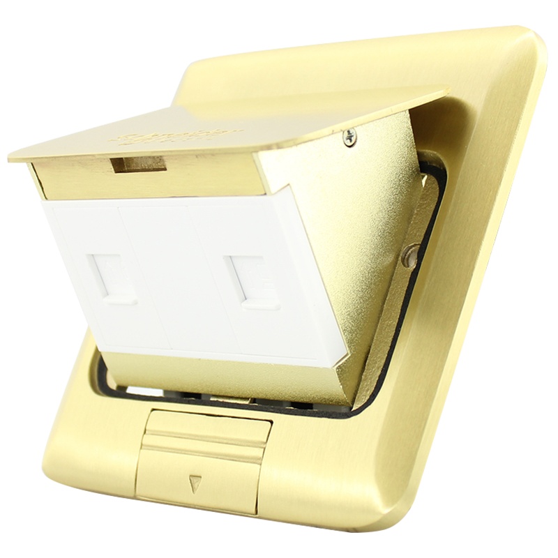 施耐德电气(Schneider Electric)铜质 弹出式地插 电话+电脑地插