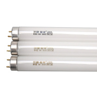 三雄极光T8荧光灯直管功率30W PAK090261