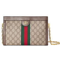 [海外直邮]GUCCI 古驰女包Ophidia系列 小号GG棕色 链条单肩斜挎包503877 K05NG 8745