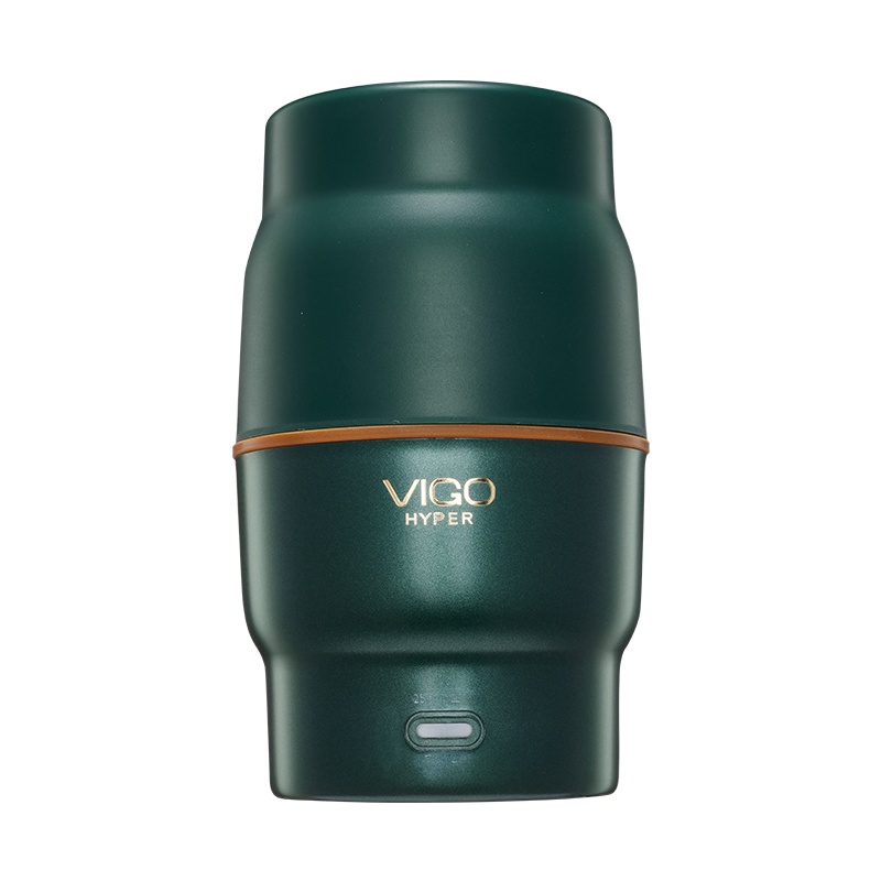 魅果（vigo）养生壶办公室便携小型煮茶器家用多功能mini玻璃煮花茶壶