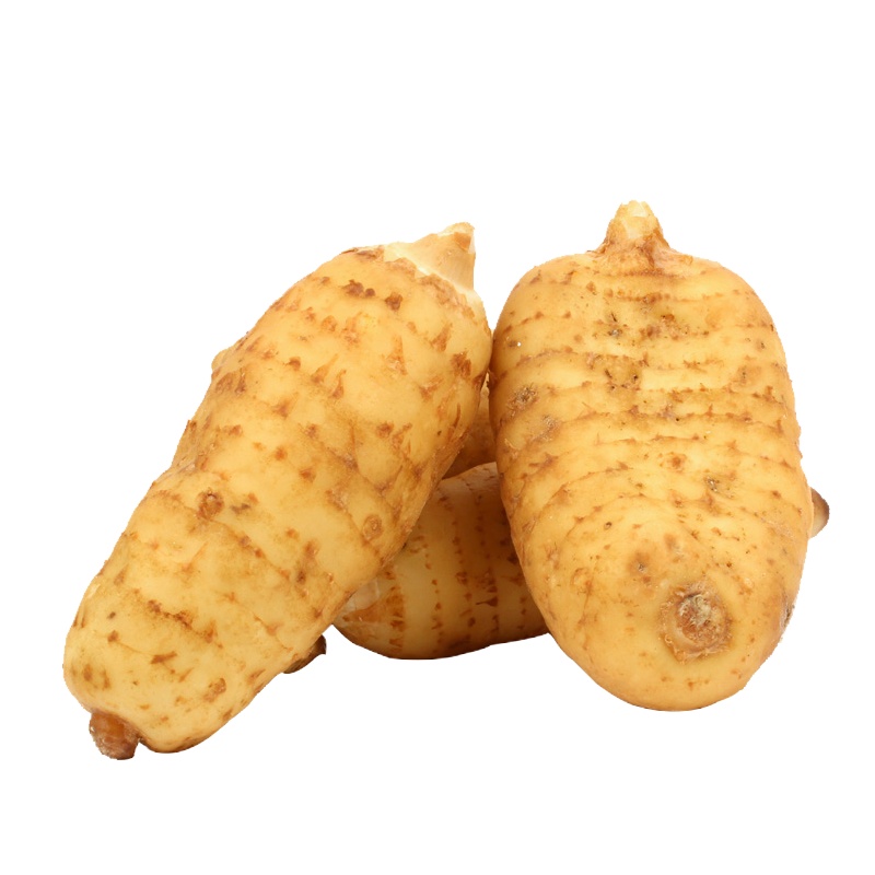 顺丰空运  小草坝天麻 新鲜天麻仿鲜天麻 500g 约12个