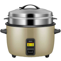 DEMASHI 电饭煲 DFG-23L