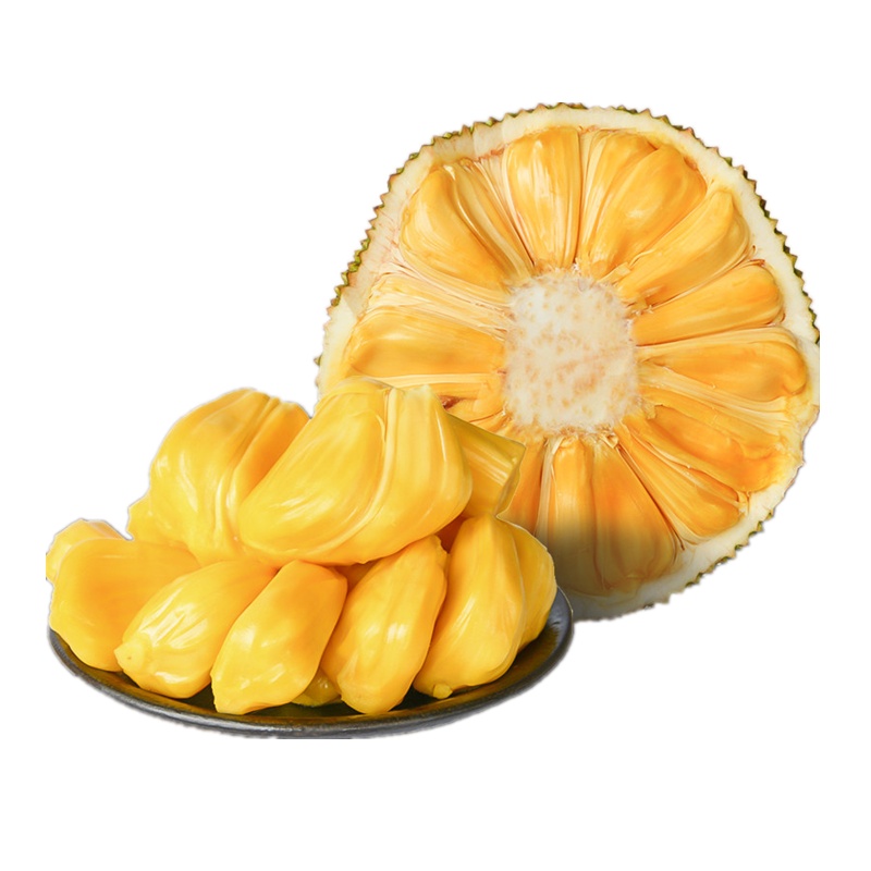 海南黄肉菠萝蜜三亚果园直采大果精选23-27斤热带当季水果包熟包甜