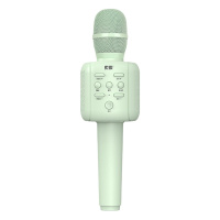 索爱MC6儿童话筒音响一体麦克风卡拉ok唱歌家用无线蓝牙手机全民K歌宝男女小孩宝宝早教主持人练口才适用唱吧 薄荷绿