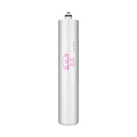 滨特尔家用直饮净水器超滤机 EF-200ULN母婴款净水器主滤芯 大流量0废水强效除铅除菌