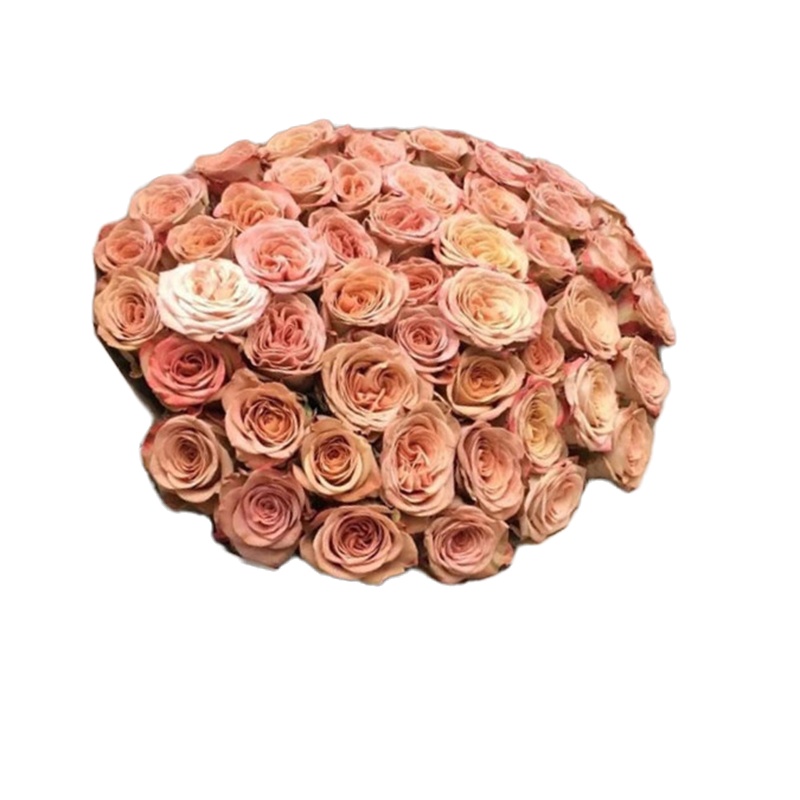 卡布奇诺玫瑰52朵复古感卡布奇诺鲜花速递全国配送