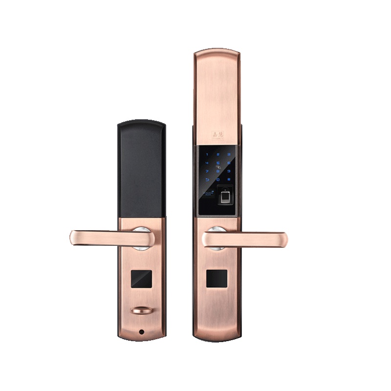 洲明翰源B6指纹锁家用防盗门密码锁大门锁门禁远程遥控电子智能锁 三锁舌 铜 通用型