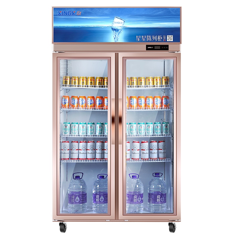 星星(XINGX) 650升 商用展示柜 超市冷藏柜 保鲜冰柜冷柜 便利店保鲜柜 双门饮料柜(金色) LSC-650E