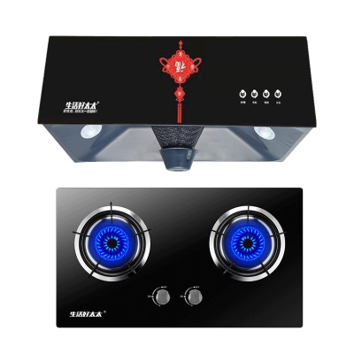 生活好太太 902+AY299中式老式抽油烟机灶具套装家用按键式油烟机灶具套餐烟灶小户型经济款烟机灶具套装(不提供安装)