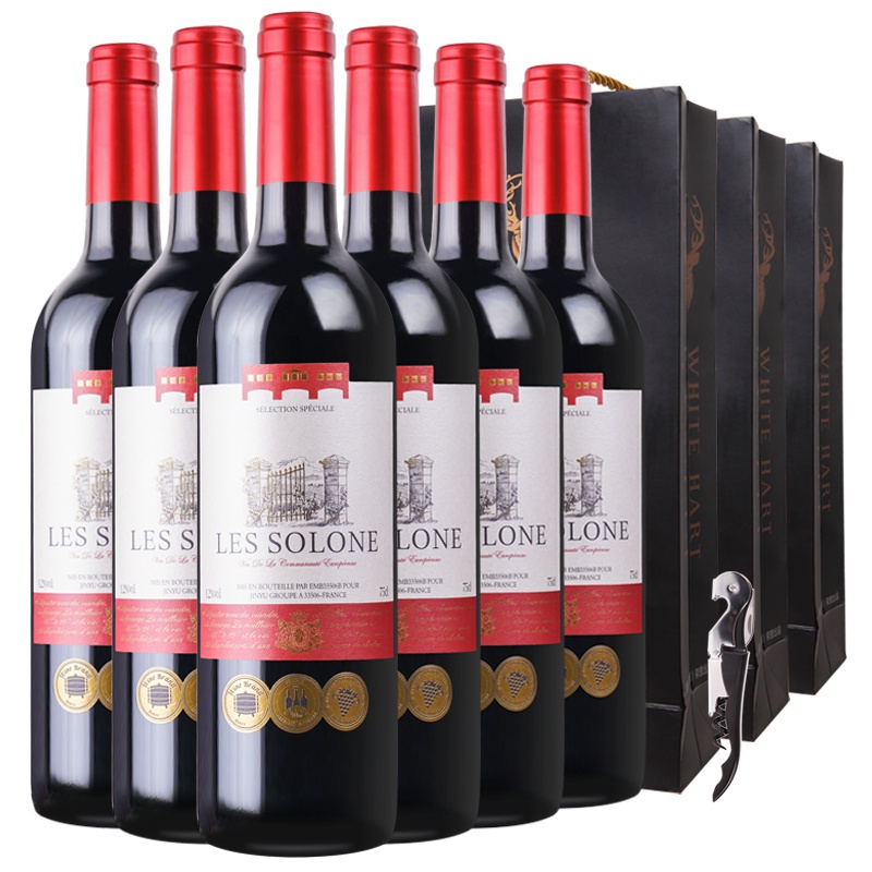 法国原瓶进口红酒 索龙世家干红葡萄酒750ml*6六支装赠手提袋海马刀