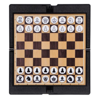 先行者 国际象棋 便携式