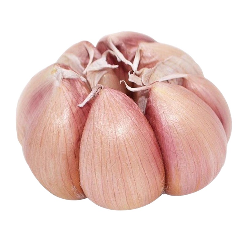 干蒜蒜头新鲜山东金乡新蒜农家自种紫大蒜新鲜干蒜头5斤农家自种紫皮干蒜红香蒜大蒜种籽鲜蒜蒜瓣