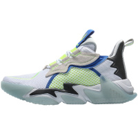 李宁001 T1000 WINTER男子支撑中帮潮流休闲鞋AGLP079-1