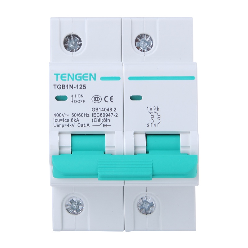 天正电气 TGB1N-125 2P C 125A 6kA AC400V 01060280020 微型断路器