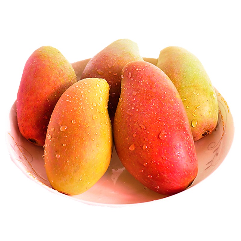 海南三亚贵妃芒高山老果5斤装现摘新鲜直发