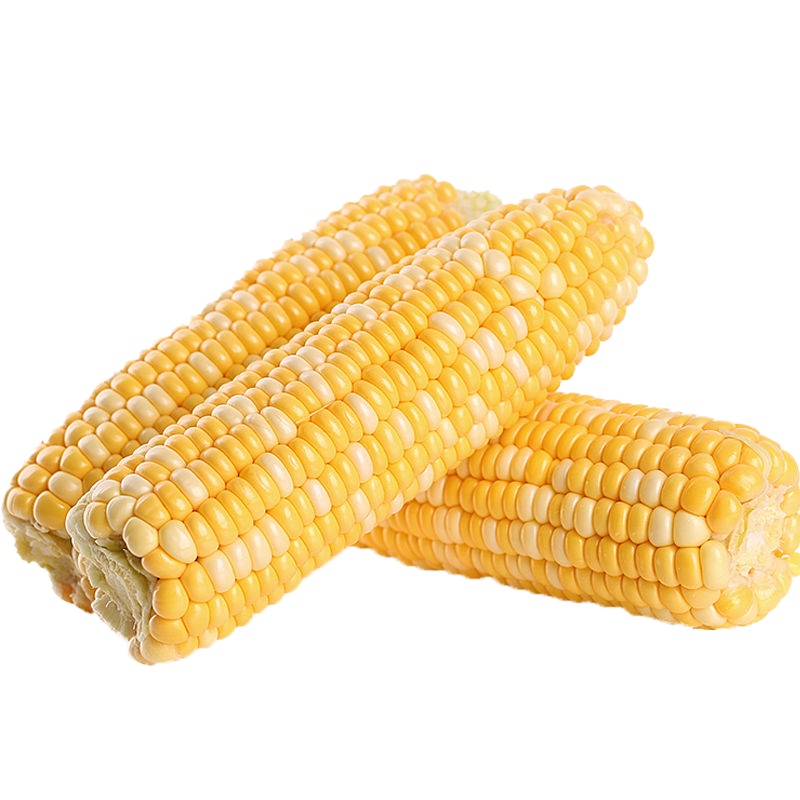 净重3斤 普通装 [特惠推荐]云南水果玉米5/10/3斤(单果200-400g)新鲜蔬菜甘鲜生