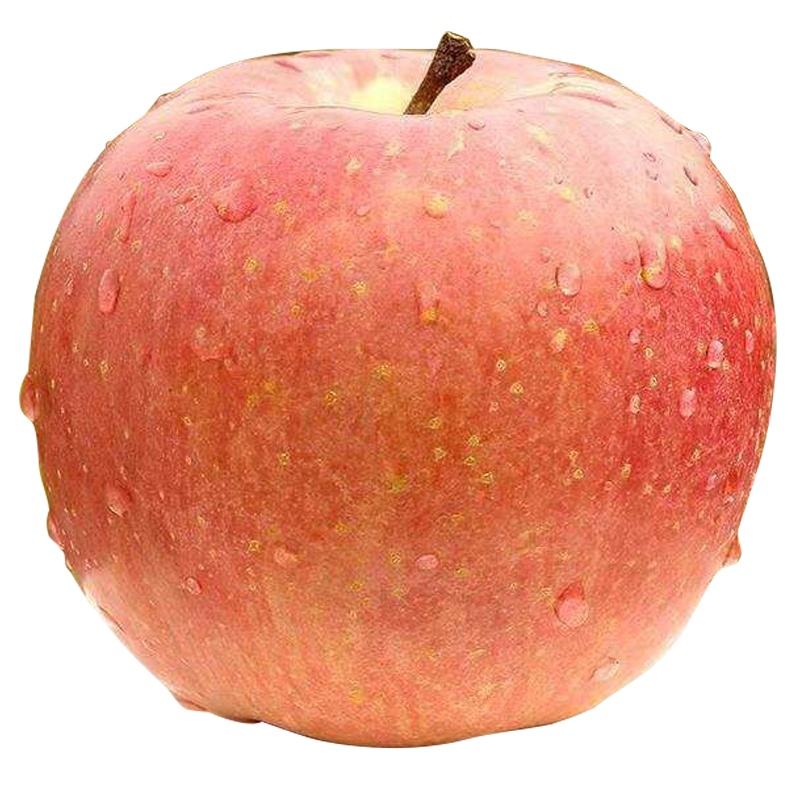 山西正宗红富士丑苹果现摘现发带箱9.5斤-10斤整箱批发（80果-95果）