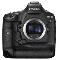 佳能(Canon) EOS 1DX2(适马150-600mm镜头+闪光灯+电池)数码单反相机 单镜头套装约2020万像素