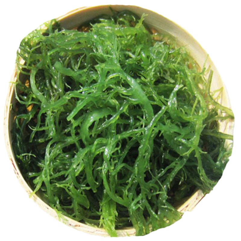 500g 龙须菜凉菜火锅菜特产凉拌菜头发菜海发菜海草藻