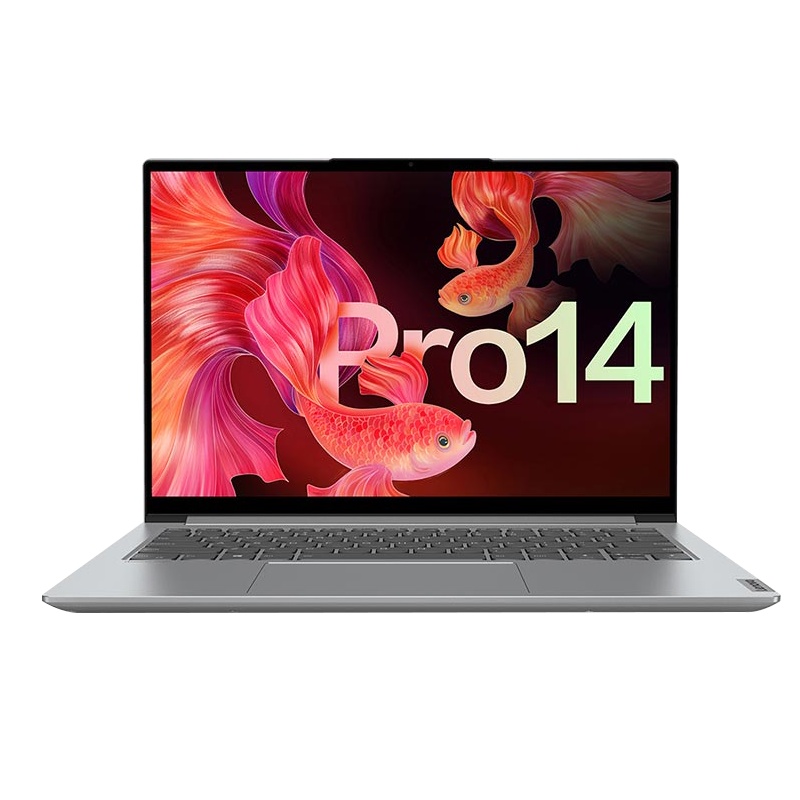 联想(Lenovo)小新Pro14标压锐龙版14英寸全面屏轻薄本笔记本电脑(6核R5-5600H 16G 512G 2.8K 90Hz 低蓝光 护眼)银