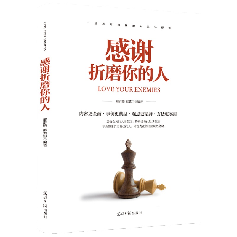 感谢折磨你的人 自我修养沟通的艺术 人生哲学处世智慧修炼书 青春文学成长心灵鸡汤正能量成功励志书籍