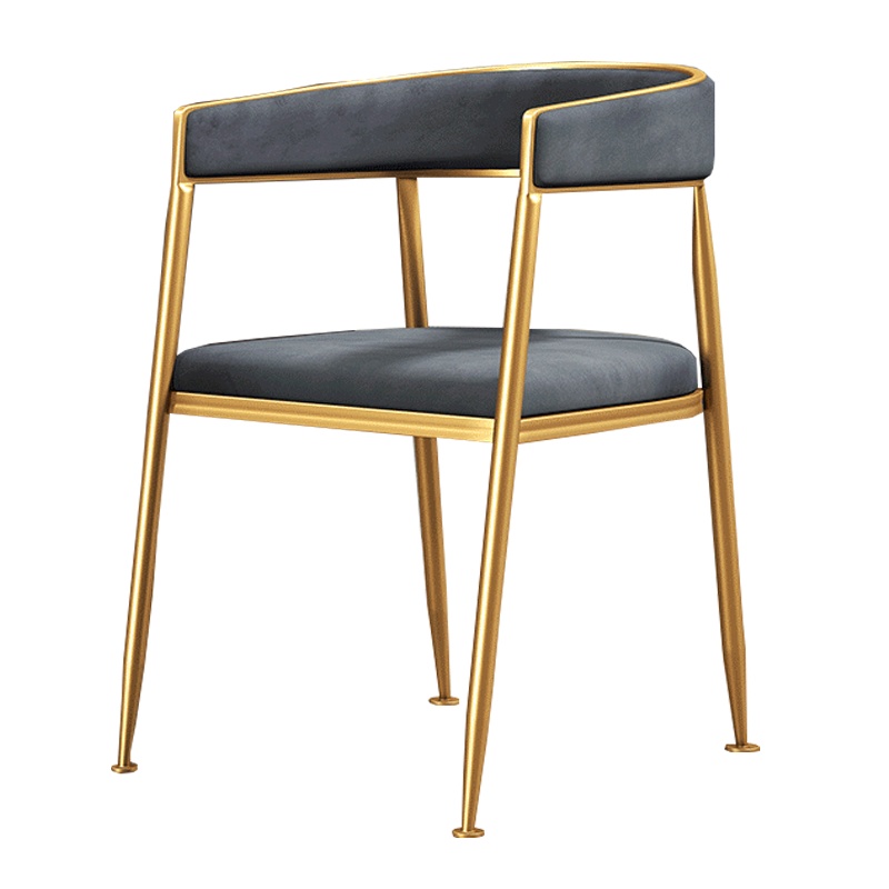 法耐北欧轻奢餐椅家用靠背椅现代简约休闲ins网红酒店餐厅设计师椅子