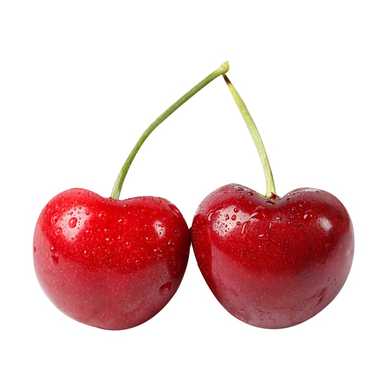 [自家果园 现摘现发]山东美早大樱桃 果肉肥厚 鲜美可口 当季新鲜水果 果肉肥厚 鲜美可口