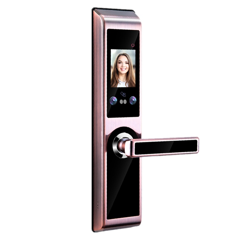 人脸识别门锁密码刷卡指纹锁升级款智能防盗安全大门人脸掌纹锁 古铜色