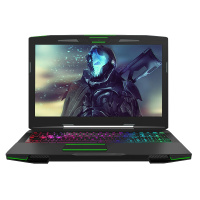 神舟战神Z7M-KP7GA 15.6英寸电竞吃鸡游戏笔记本电脑(i7-8750H 8G 512G SSD IPS GTX1050Ti 4G)