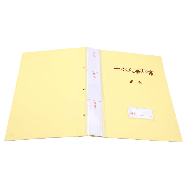 ZEBRA 干部人事档案卷盒 胶化纸蛇簧夹 310*225*35mm