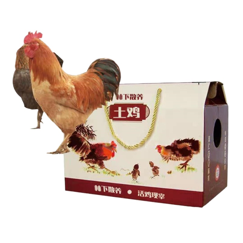 [江苏扶贫][财政集采][响水]溢香源林下散养土鸡(活鸡现杀)2只/箱 (50袋起拍,单拍不发货)