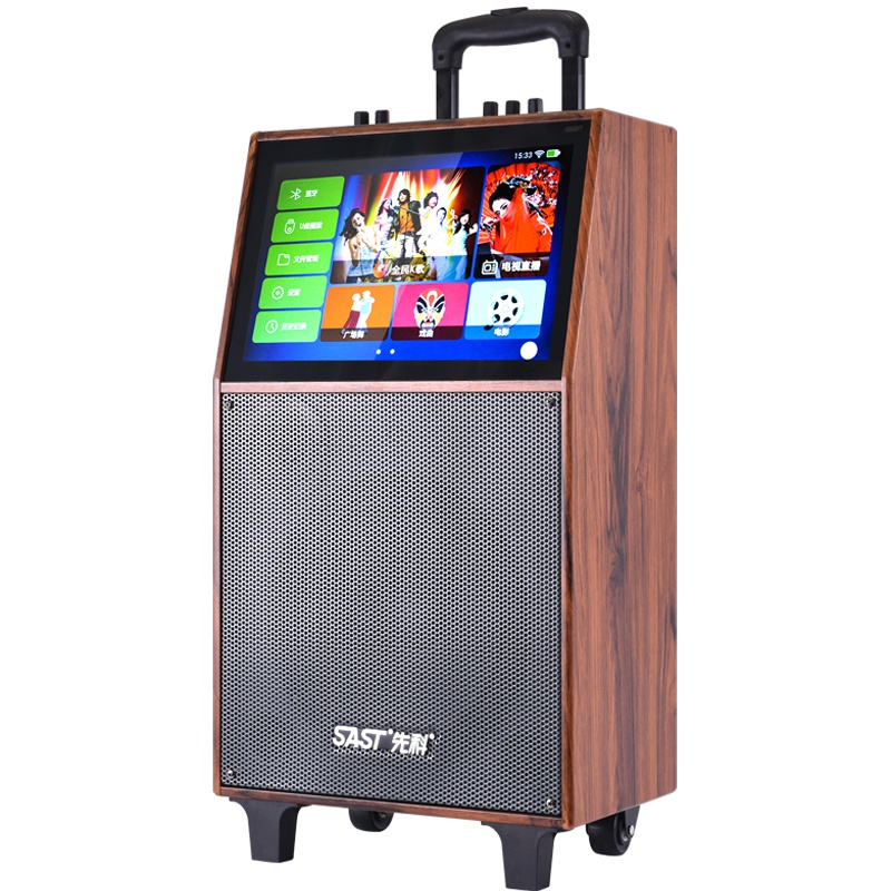 先科(SAST)户外便携式广场舞音响 蓝牙移动拉杆音箱带显示屏 大功率KTV视频播放器带无线麦克风