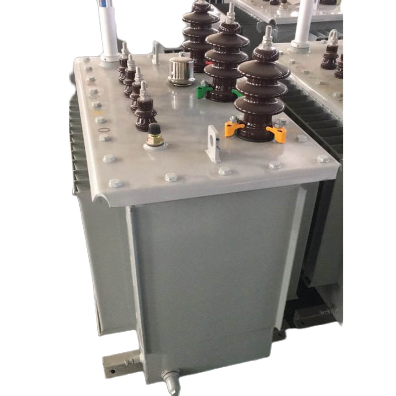 胜阳S11-100kVA变压器(含安装验收,调试辅材费用)单台装