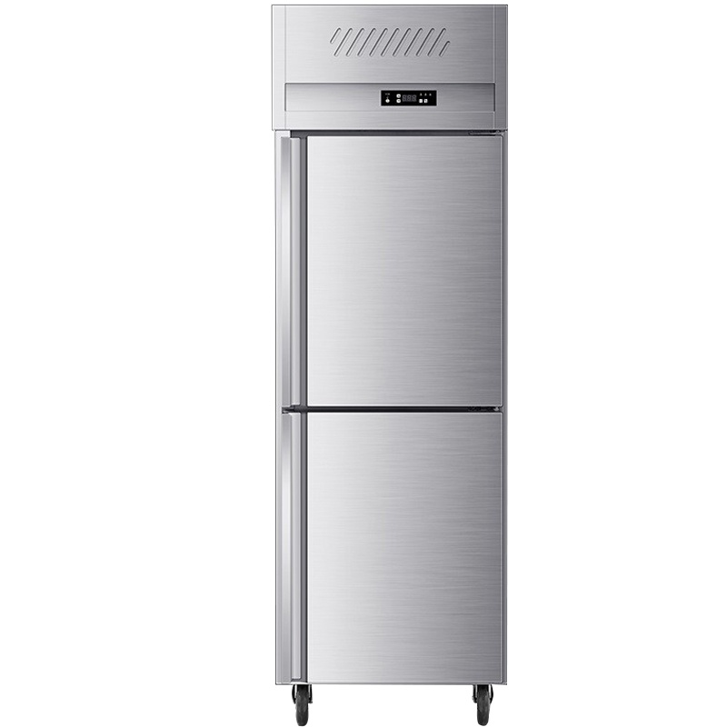 德玛仕(DEMASHI)商用风冷冰柜 厨房髙身雪柜 二封门不锈钢冷藏冷冻保鲜柜LD0.5L2W 风冷款全冷冻