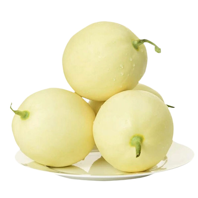 博多客(上新)新鲜郁金香甜瓜当季水果甜瓜_2.5kg约5-7个